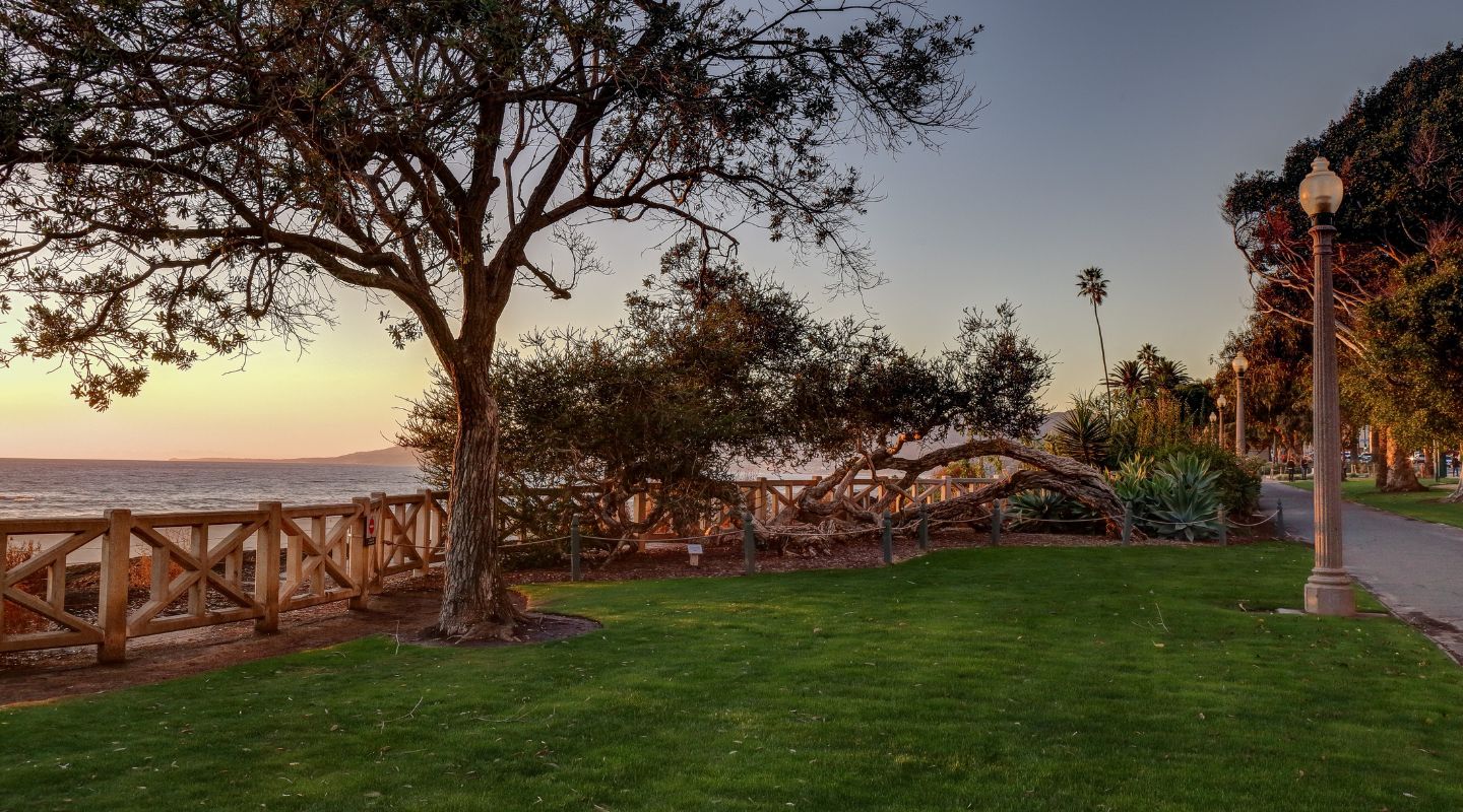 Palisades Park path and ocean view in Santa Monica